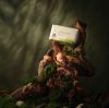 Картинка Увлажняющее кусковое мыло «Шинрин-Ёку» dōTERRA, 113 г от магазина IQ-Robot