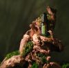 Картинка Масло для волос и бороды dōTERRA «Шинрин-Ёку», Shinrin-Yoku Hair & Beard Oil, 30 мл от магазина IQ-Robot