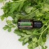 Картинка Эфирное масло dōTERRA Кинза, Cilantro, 15 мл от магазина IQ-Robot