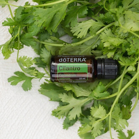 Картинка Эфирное масло doTERRA Кинза, Cilantro, 15 мл от магазина IQ-Robot