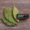 Картинка Эфирное масло dōTERRA Лавровый лист, Laurel Leaf, 5 мл от магазина IQ-Robot
