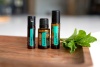 Картинка Cмесь эфирных масел мяты doTERRA SuperMint в гранулах, 125 гранул от магазина IQ-Robot
