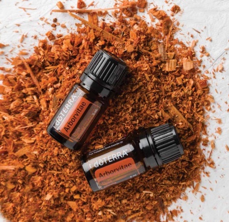 Картинка Эфирное масло doTERRA Туя, Arborvitae, 5 мл от магазина IQ-Robot